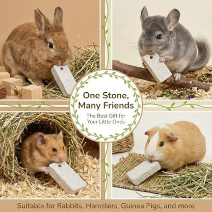 RAINFLOW small animal pet lava bites boredom relief toys for indoor bunnies