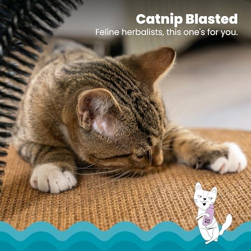 Catstages self-grooming station for indoor cats