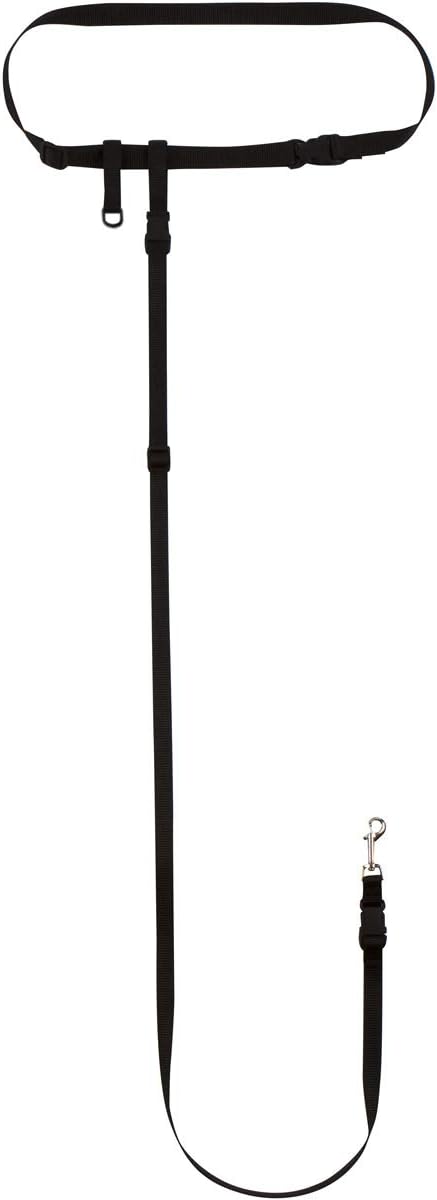 The Buddy System Hands Free Dog Leash front view
