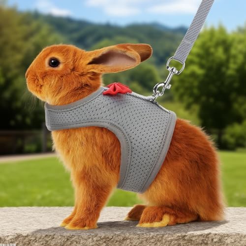 Prasacco lightweight guinea pig harness showing compact folded style ideal for travel and outdoor hiking