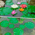 Underneath view of the buoyant foam structure of FFNIU artificial pond plants