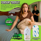 FUN Delivery cricket chirping gag gift displaying the integrated adhesive backing for office hiding.