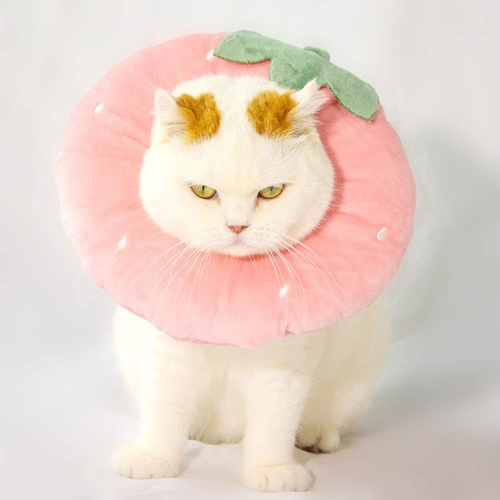 Adjustable drawstring closure detail on soft pet recovery collar
