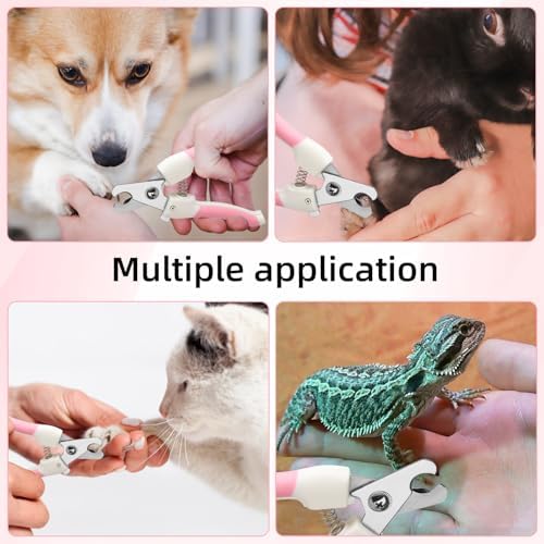 Complete yayaboqu small pet grooming set including clipper and file
