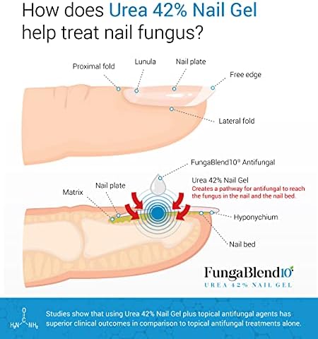 Close up of FungaBlend 10 applicator brush for precise nail application.