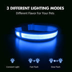 Masbrill rechargeable dog collar showing USB charging port