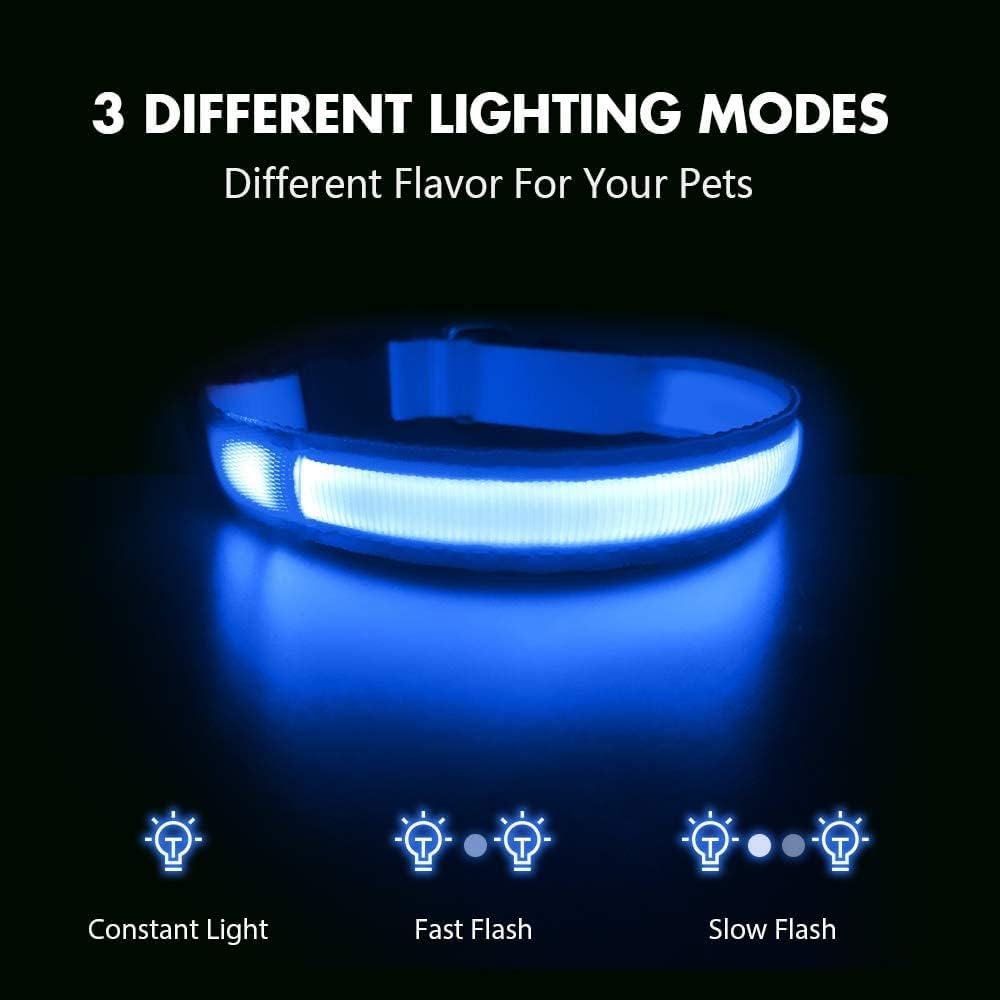 Masbrill rechargeable dog collar showing USB charging port