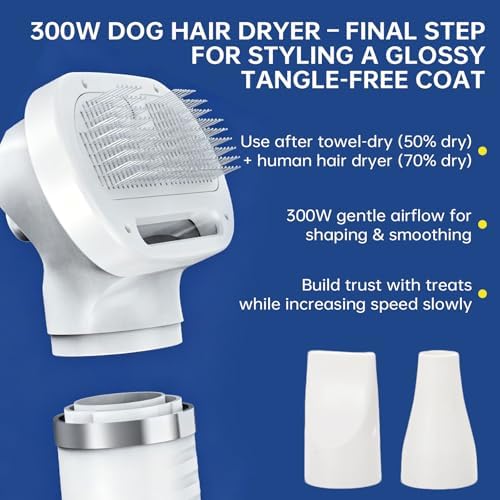 Person using Raiwav dryer brush on dog coat