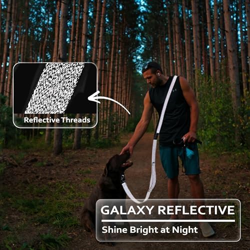 JC HOUSE adjustable hands free leash demonstrating the 360 degree galaxy reflective visibility at night.