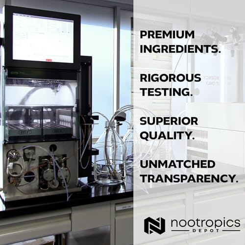 Nootropics Depot L-Theanine capsules bottle displayed on a clean surface