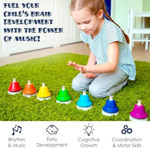 MiniArtis educational musical instrument set packed neatly inside its included durable storage carry case.