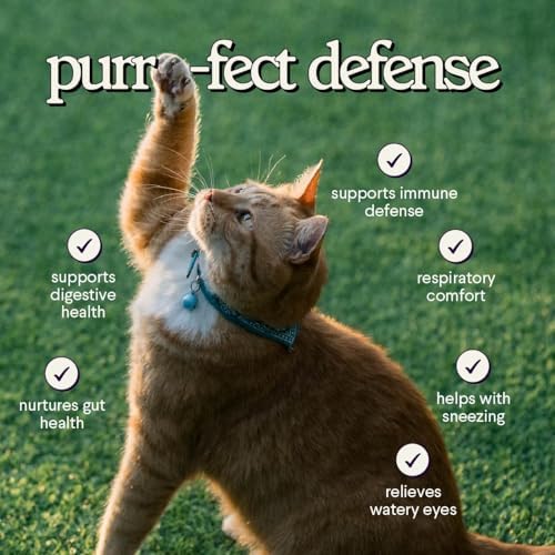 Wonder Paws liquid drops for cat immune health close up