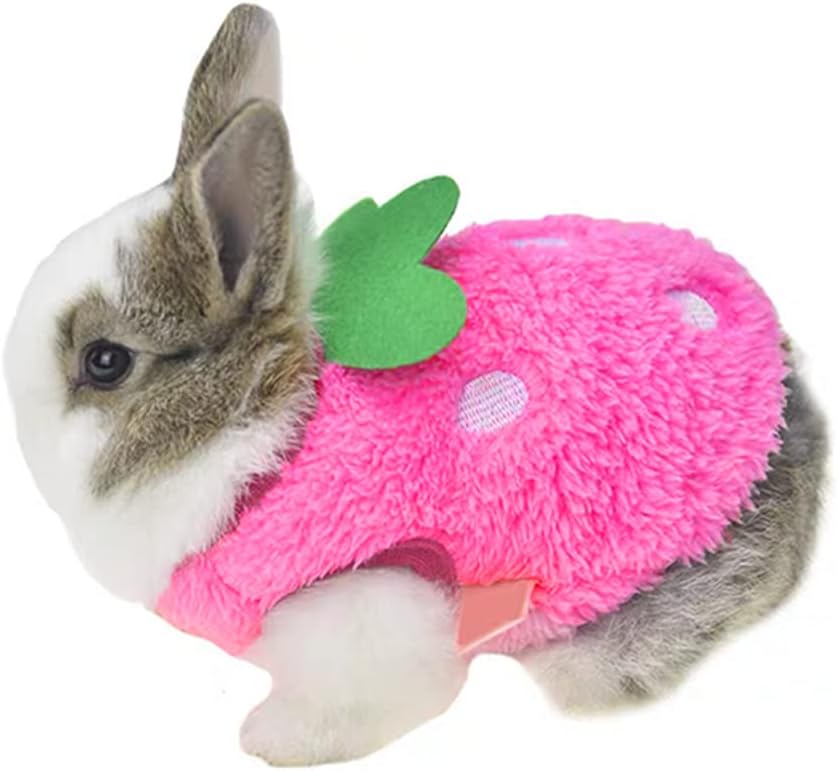 ANIAC pink small animal costume with strawberry pattern on a rabbit