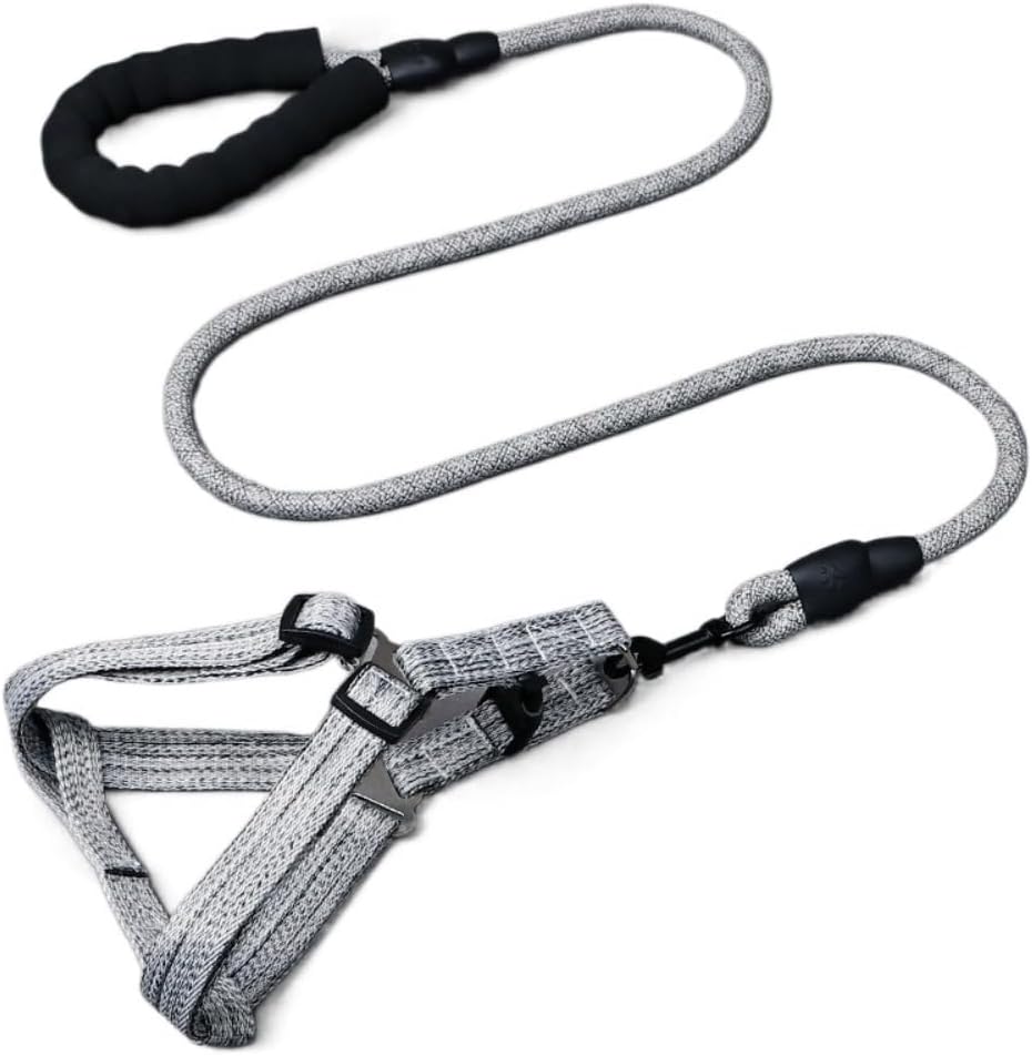 Dhgate adjustable dog harness and leash set front view