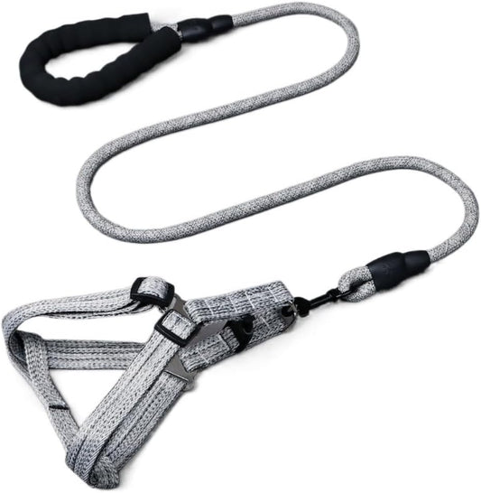 Dhgate adjustable dog harness and leash set front view