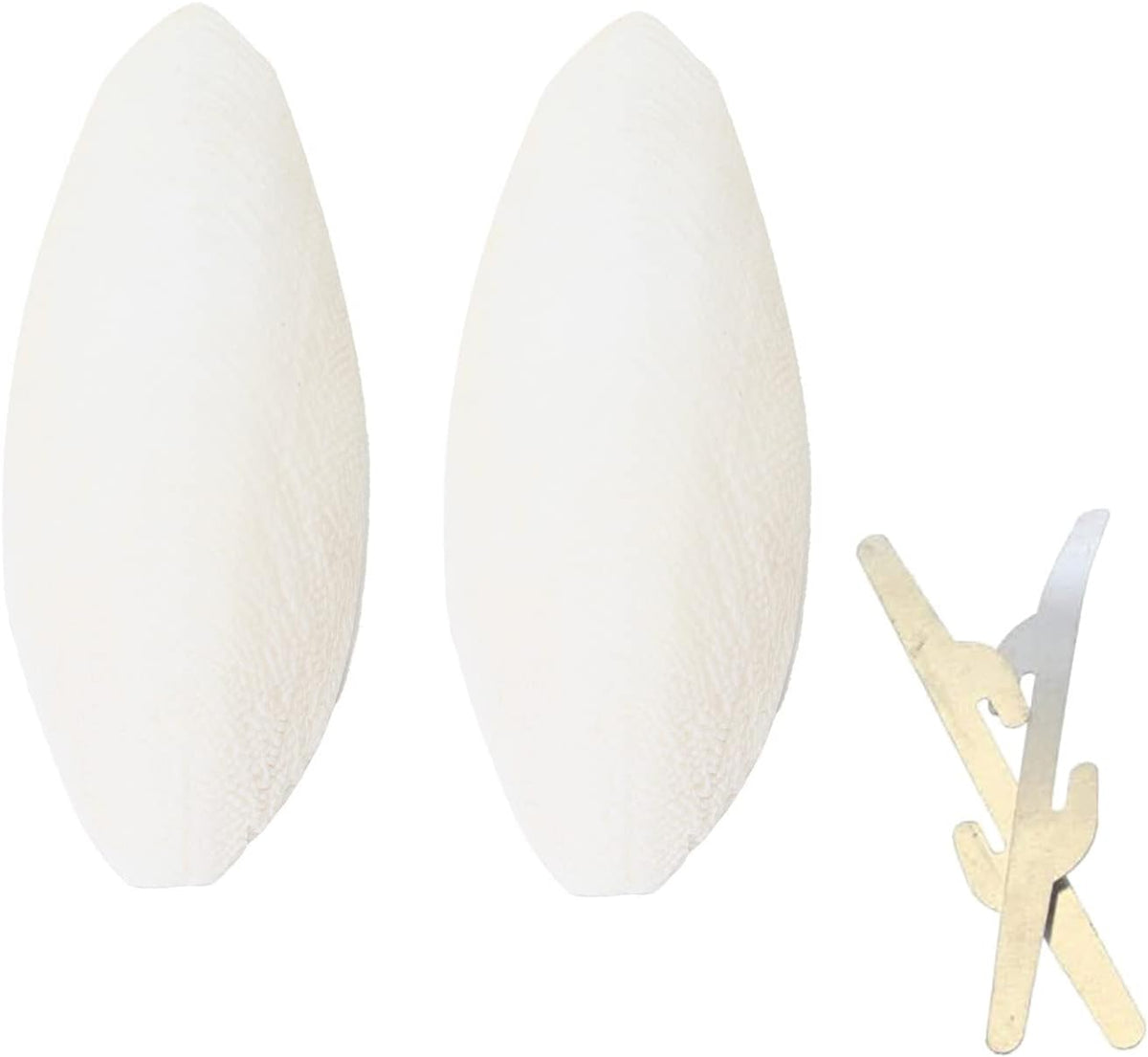 Emours brand cuttlefish bone complete package