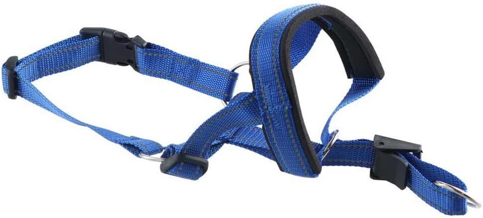 Barkless blue head halter side profile detailing the adjustable neck strap on a large dog