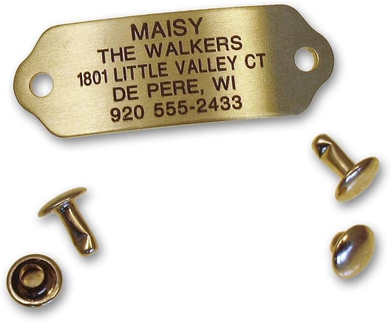 LuckyPet Rivet-On Pet ID Tag - Personalized, Silent and Customized - Suitable for Cats and Dogs - Heavy-Duty Pet Identification - Engraved Tags - Large, Matte Finish Stainless Steel - Image 10