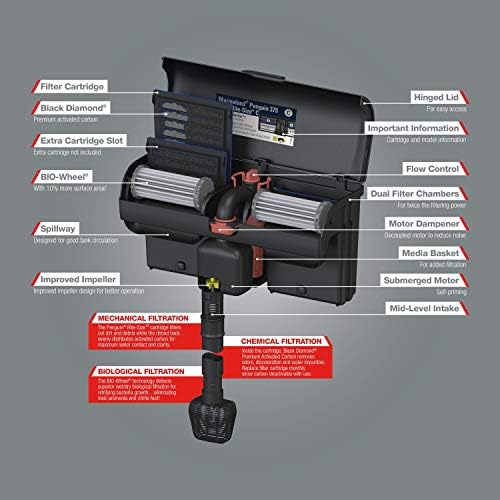 Multi stage filtration media cartridges inside filter chamber