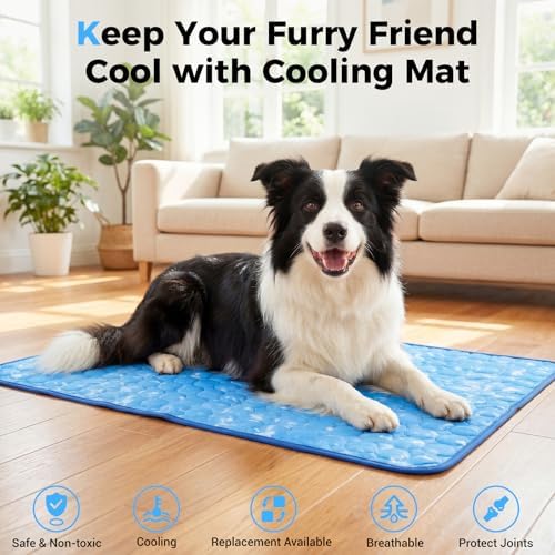 Washable summer pet blanket being folded into a compact size for travel