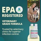 F10 disinfectant bottle cap and seal detail