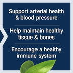 Life Extension L-Arginine dietary supplement packaging back panel details