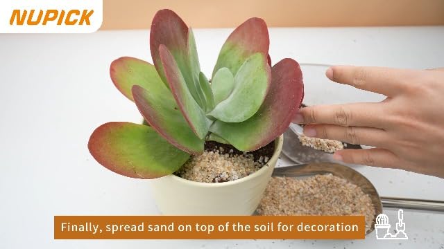Nupick gold grit used in landscape pathway design
