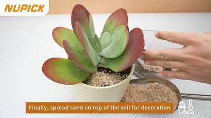 Nupick gold grit used in landscape pathway design