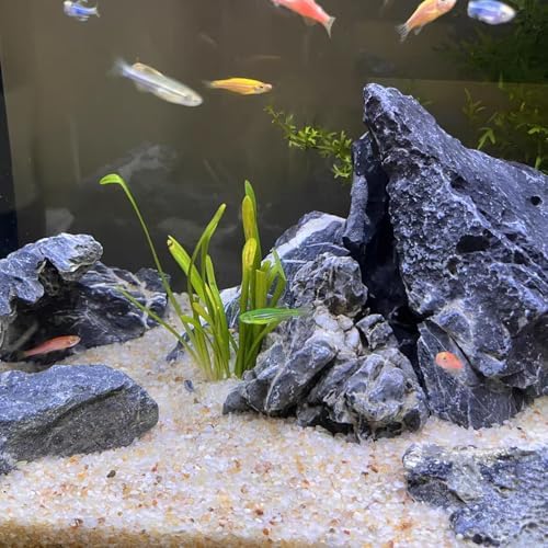 Side profile of Fantian silica sand in an aquarium setup