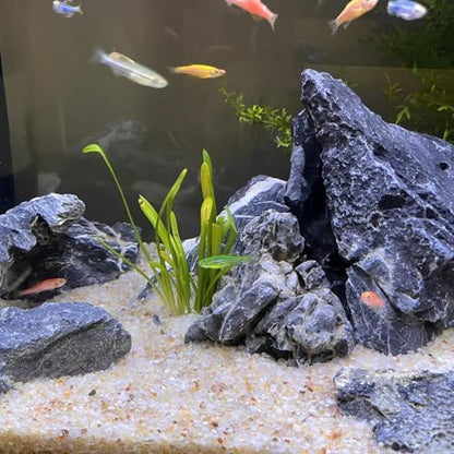 Side profile of Fantian silica sand in an aquarium setup