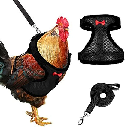 Side view of Adhafera poultry harness showing buckle adjustment