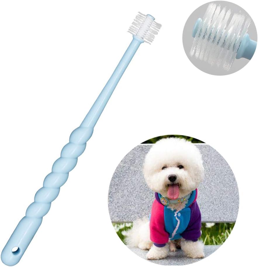 VTurboWay small pet toothbrush showing the ergonomic six inch handle in assorted colors.