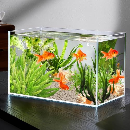 Aquarium landscaping with natural white coral stones and aquatic plants