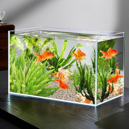 Aquarium landscaping with natural white coral stones and aquatic plants