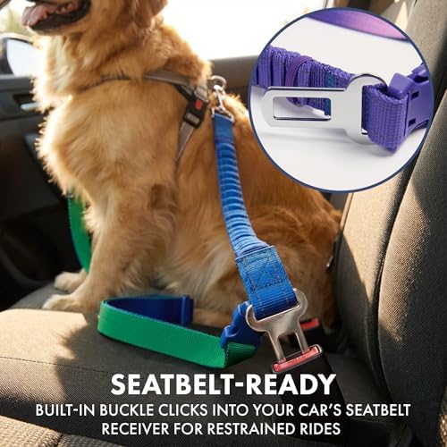 Spark Paws heavy duty nylon dog leash showing the neoprene lined handle comfort