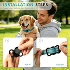Joygiee IP68 waterproof pet GPS tracker demonstrating heavy rain and water splash resistance during outdoor activities.