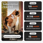 Smartphone app interface displaying cat GPS location