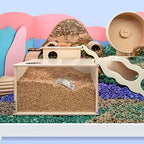 Niteangel Visible Hamster Digging Box for Syrian Dwarf Roborovski Campbell Hamsters Gerbils Mice Lemmings Degus or Other Small-Sized Pets (Burlywood) - Image 7