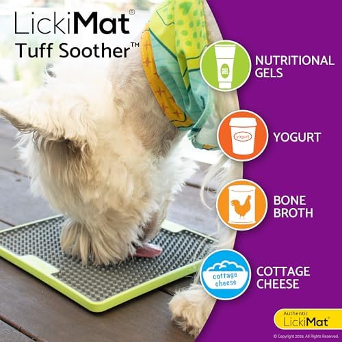 Turquoise heavy-duty lick mat for dental health