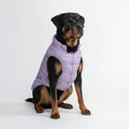 Spark Paws Dog Winter Jacket, Water-Resistant Coat, Warm Reflective Windproof Fleece-Interior, for Medium and Large Dogs - Olive - S - Image 12