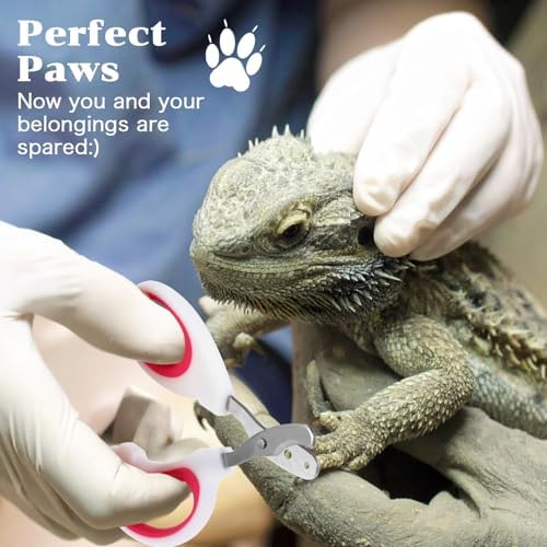 Xyembu hedgehog claw cutter angled blades designed for small animal pet care.