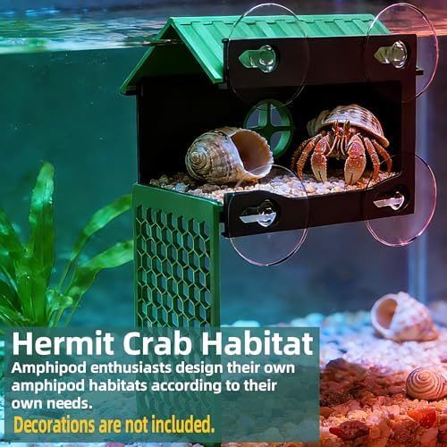 Multi-Functional Hermit Crab Hideaway | Hermit Crab Foraging cave with Ladder | Hermit Crab Climbing wall Toy | Hideout Decoration Accessories Also Suitable for Lizards and Tarantulas - Image 3