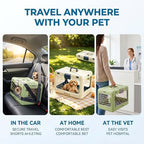 Dog Trust durable small animal carrier being carried by handle outdoors