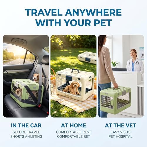 Dog Trust durable small animal carrier being carried by handle outdoors