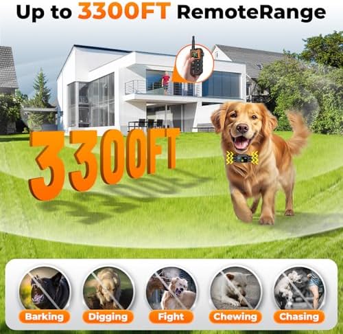 Long range pet training collar with remote keypad lock feature