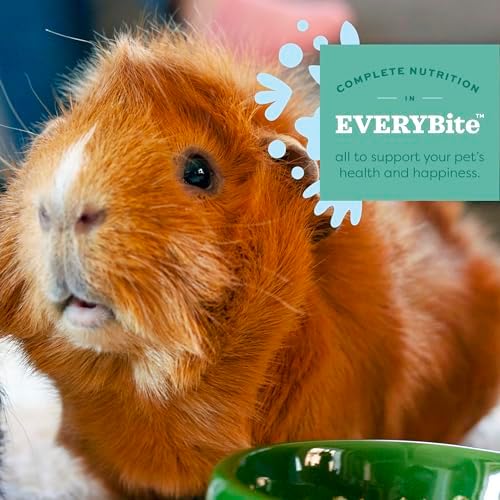 High quality timothy hay based pellets for guinea pigs