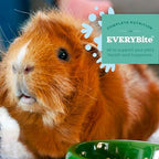 High quality timothy hay based pellets for guinea pigs