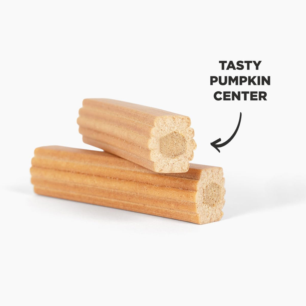 Pumpkin flavored healthy canine treats for fresh breath and clean teeth