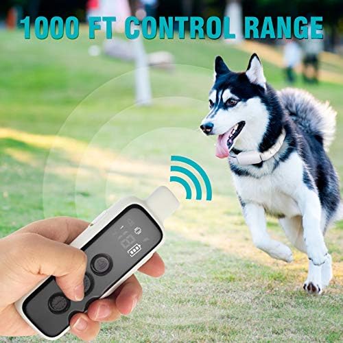Bousnic shock collar digital display showing training modes