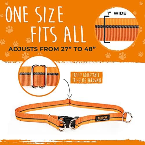 Dual padded handles on Mighty Paw dog walking lead
